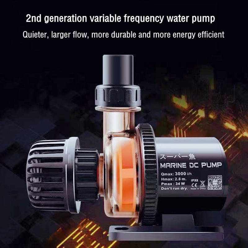 Custom Factory Wholesale Price - Aquarium Fish High Price recension och pris