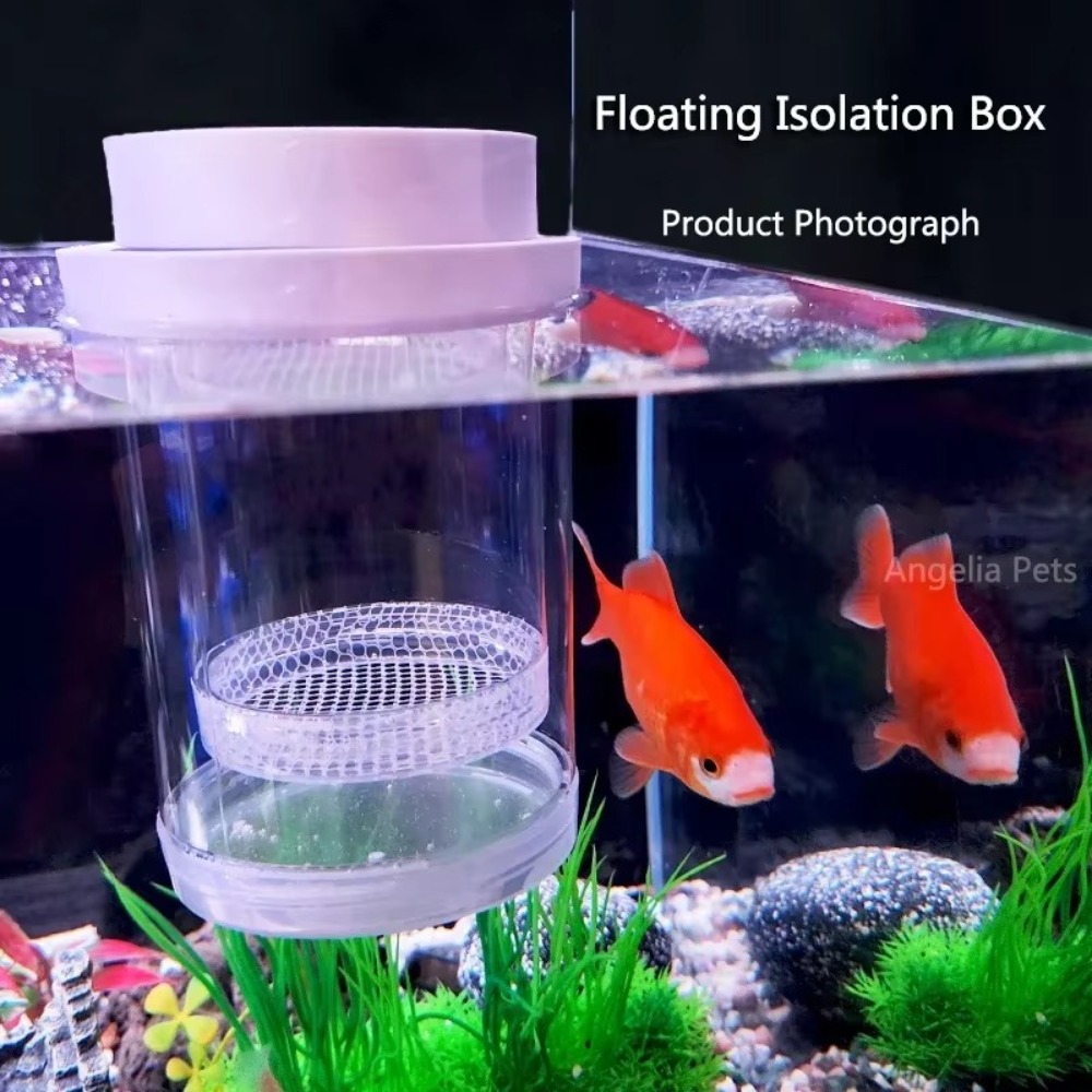 Plastic Floating Fish Breeding - Box Fish In Aquarium recension och pris