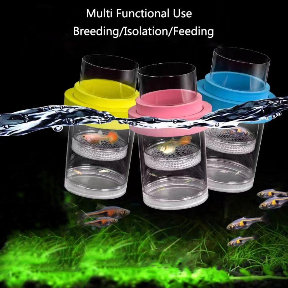 Plastic Floating Fish Breeding - Box Fish In Aquarium recension och pris