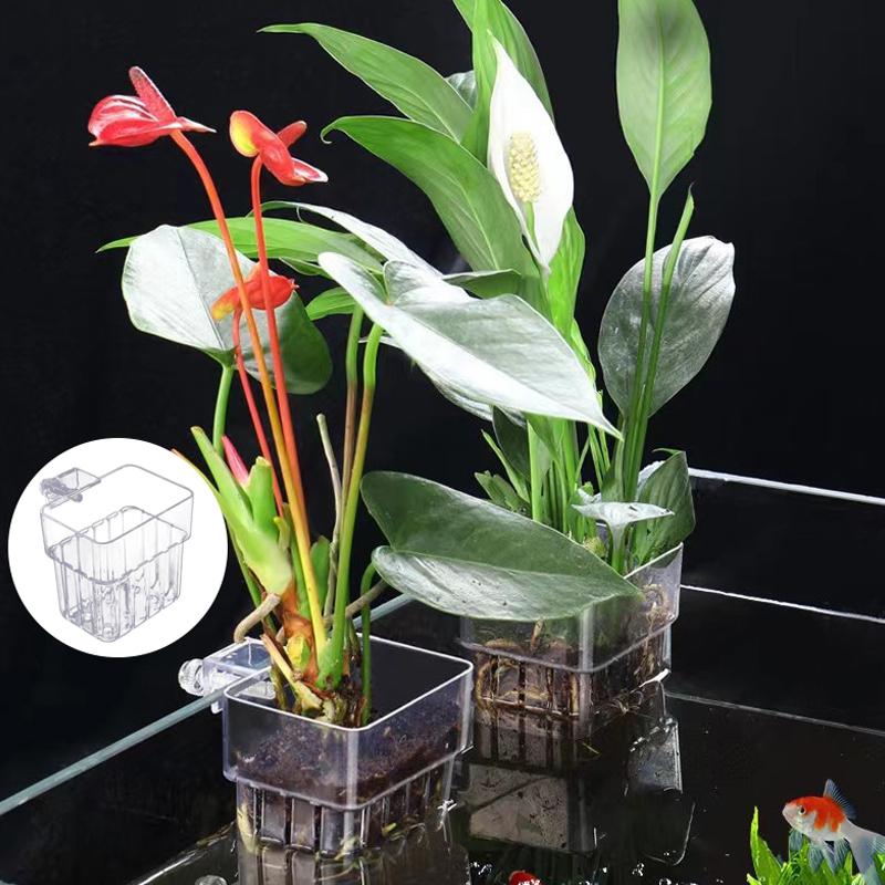 Multifunctional Fish Aquarium  - Box Fish In Aquarium recension och pris
