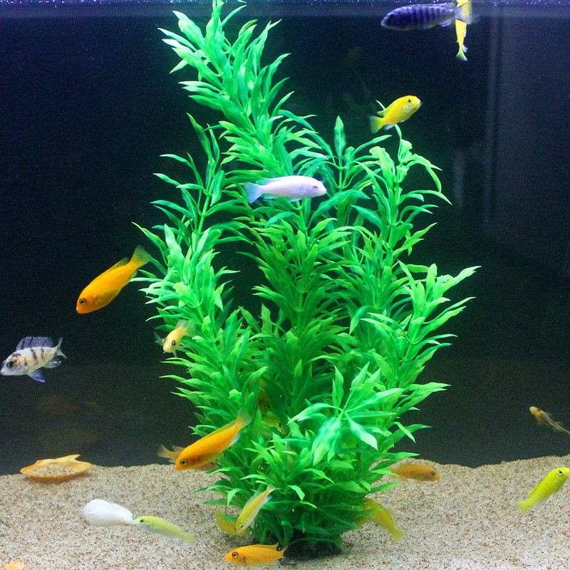 50CM Artificial Fish Tank Rare - Aquarium Fish Only recension och pris