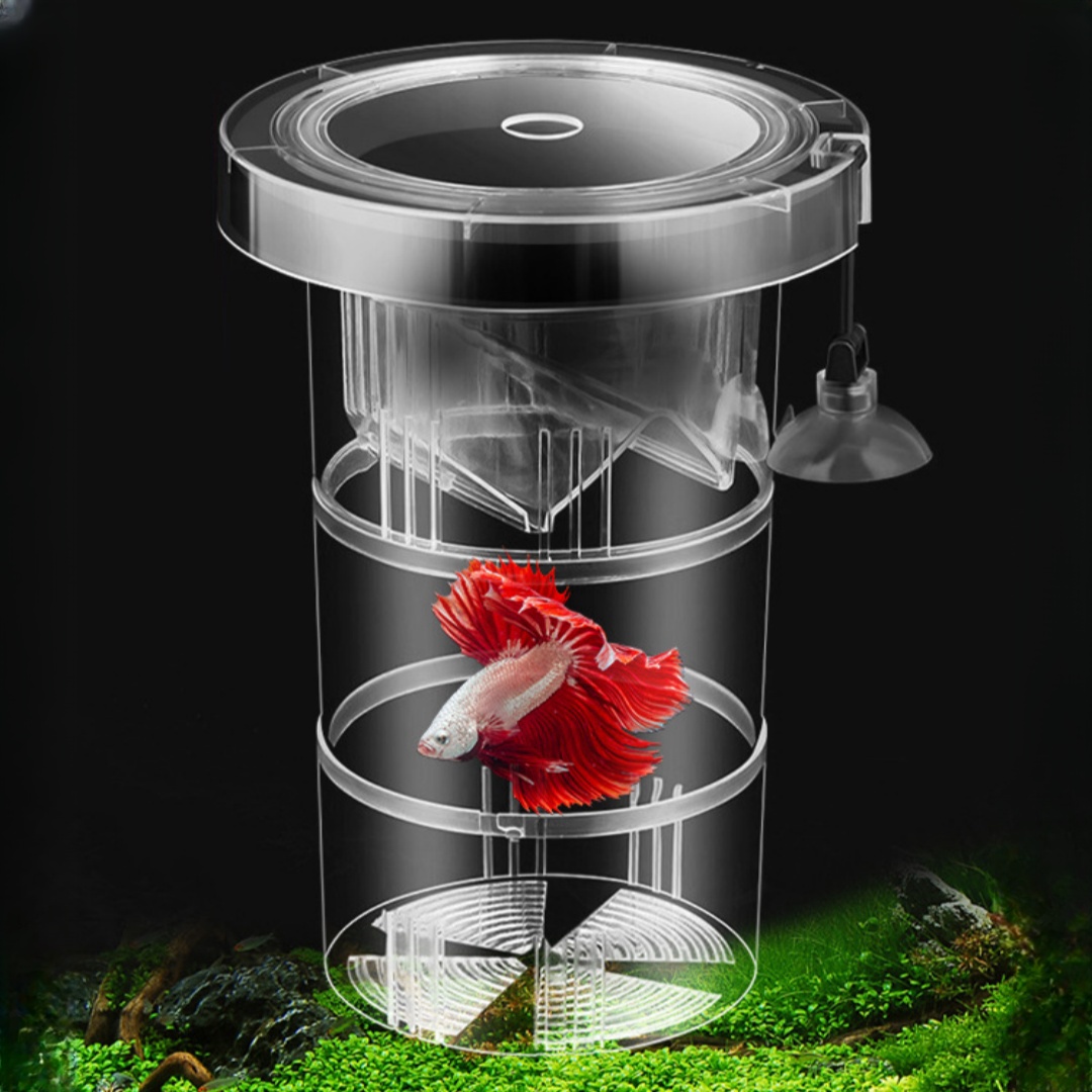 Acrylic Floating Fish Breeding - Box Fish In Aquarium recension och pris