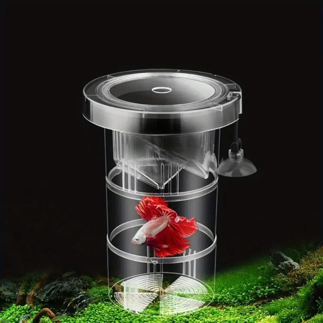 Acrylic Floating Fish Breeding - Box Fish In Aquarium recension och pris