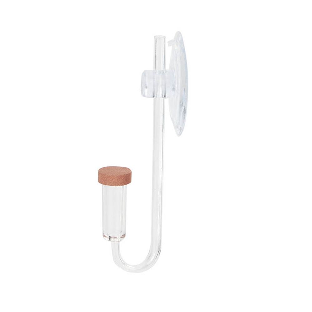 Acrylic Mini Fish Tank Live Pl - Aquarium Fish Live recension och pris