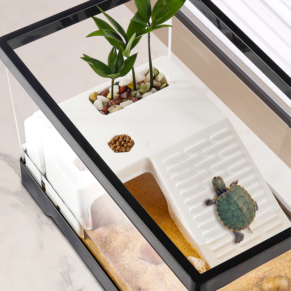 Large Transparent Turtle Tank  - Box Fish In Aquarium recension och pris