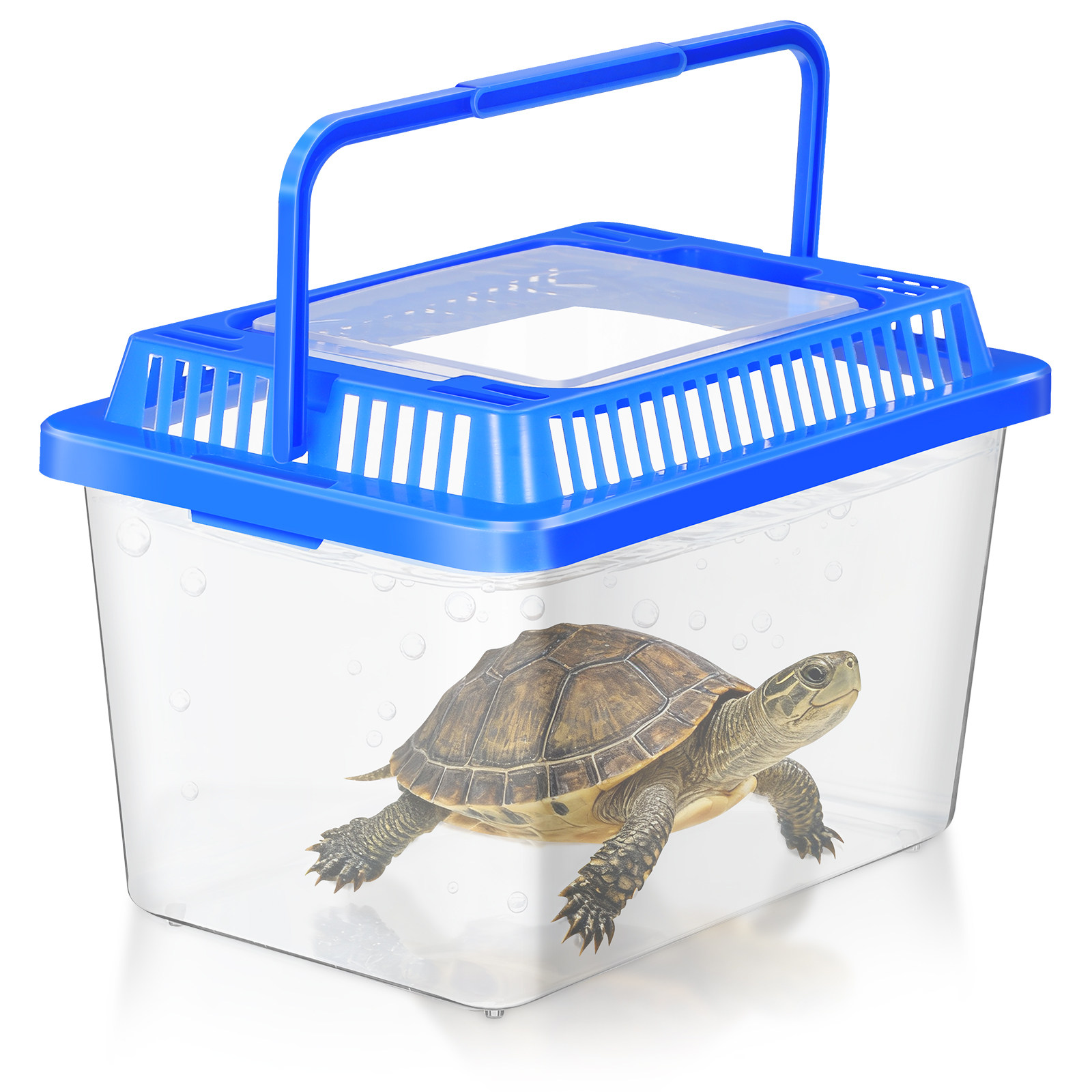 Mini Portable Fish Tank Transp - Aquarium Goldfish recension och pris