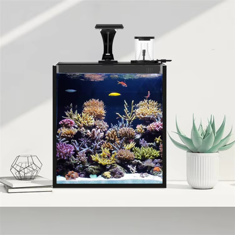 Table Curved Saltwater Marine  - Aquarium Fish Live recension och pris