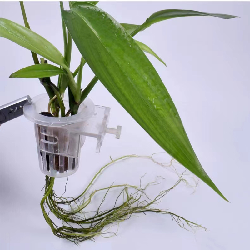 Aquarium Planting Basket Hydro - Aquarium Fish Elevator recension och pris