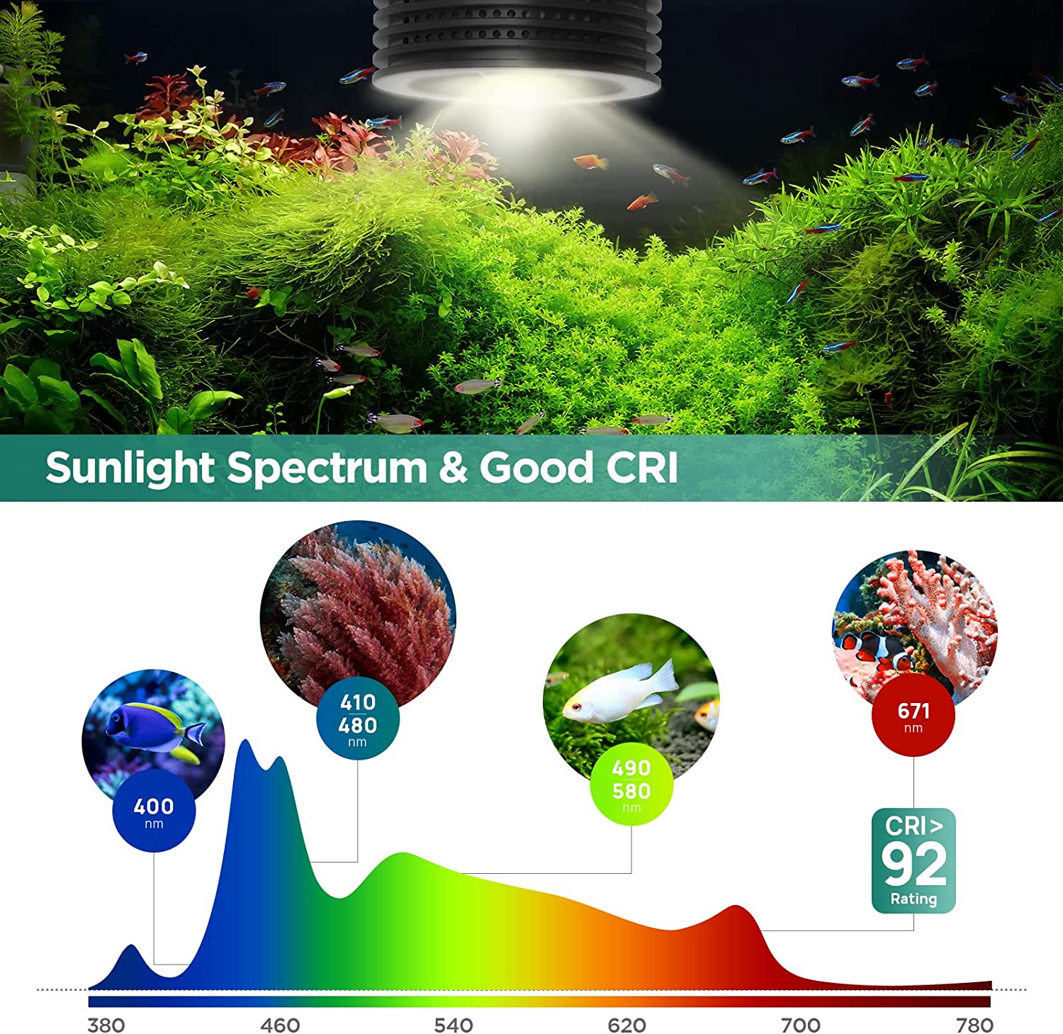 Lominie Asta 20 Freshwater 18W - Refugium Light Nano recension och pris