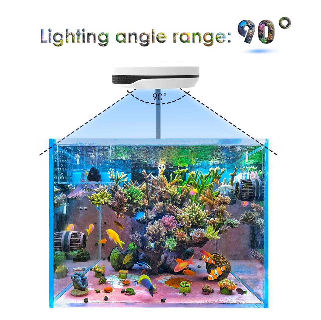 Clip on 20W LED Aquarium Light - Refugium Light Nano recension och pris